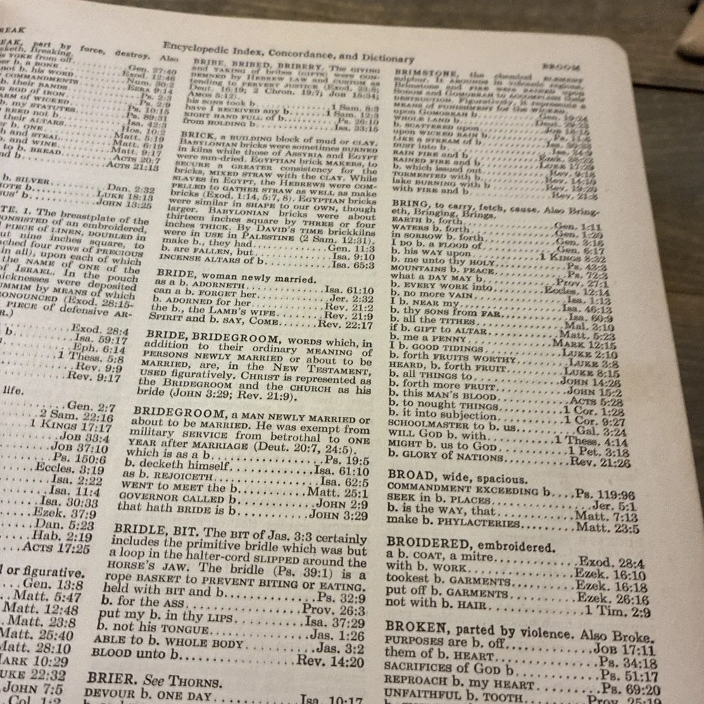 The Holy Bible: The Good Leader Bible (1946 Leather) Goodwill Distributors Large